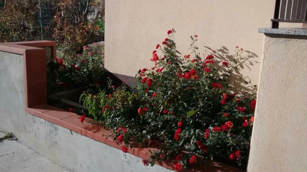 Casa Dell'Oleandro Apartment Gallodoro Exterior foto